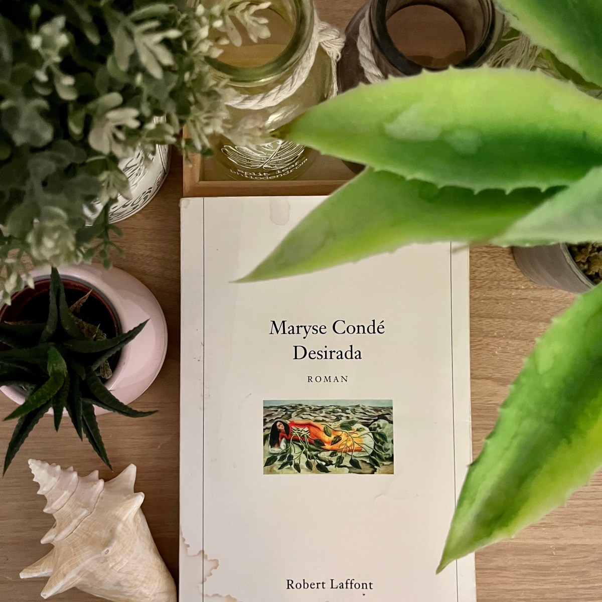 Desirada, Maryse Condé