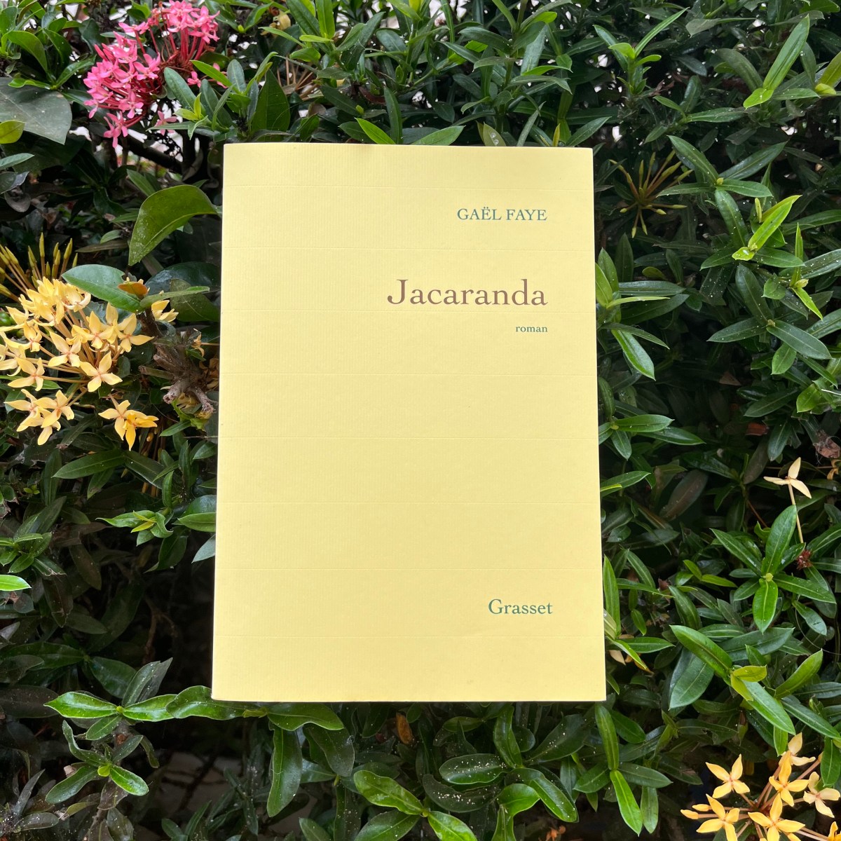 Jacaranda, Gaël Faye